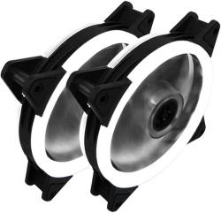 CASIN FAN - RGB