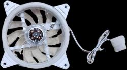 CASIN FAN - WHITE